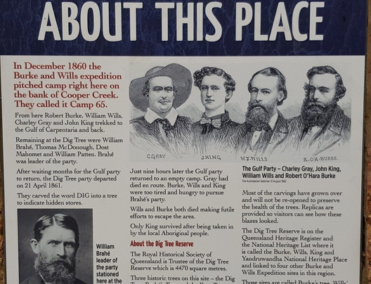 Burke and Wills Tree-Thargomindah必去景点