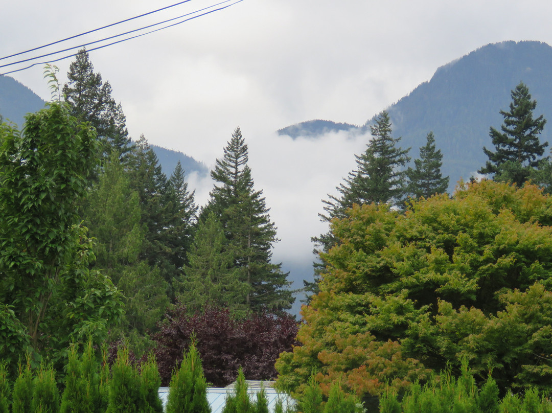 瑞士小木屋汽车旅馆主图