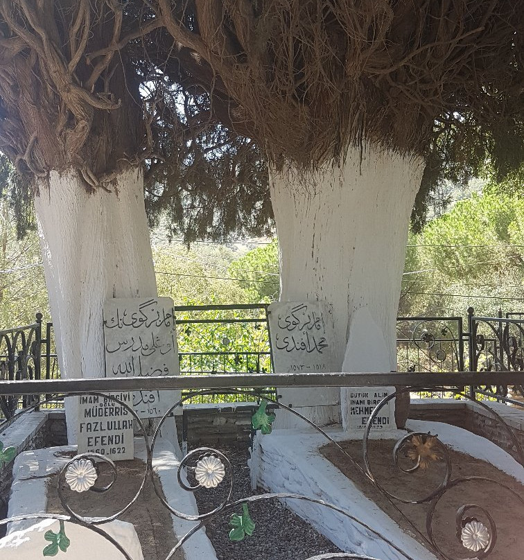 İmam-i Birgivi Mehmet Efendi Türbesi-Birgi必去景点
