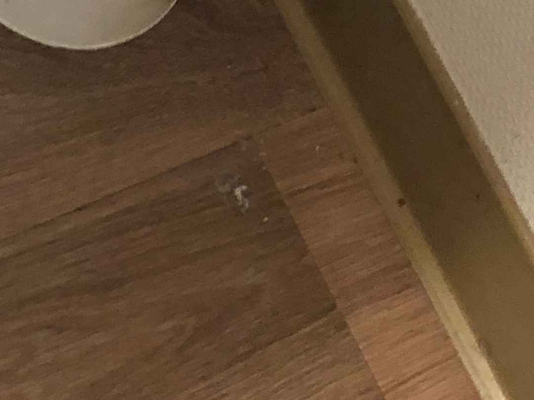 B&B HOTEL Belfort主图