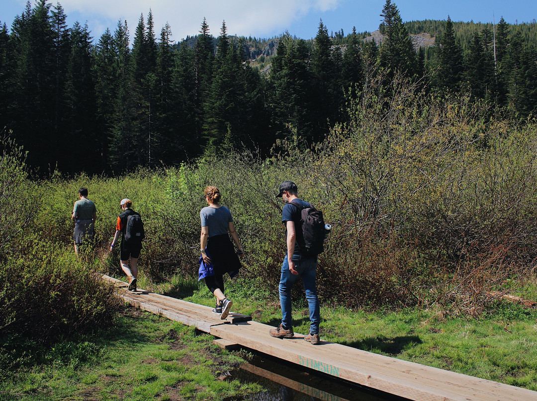 Mt Hood Outfitters-Government Camp必去景点