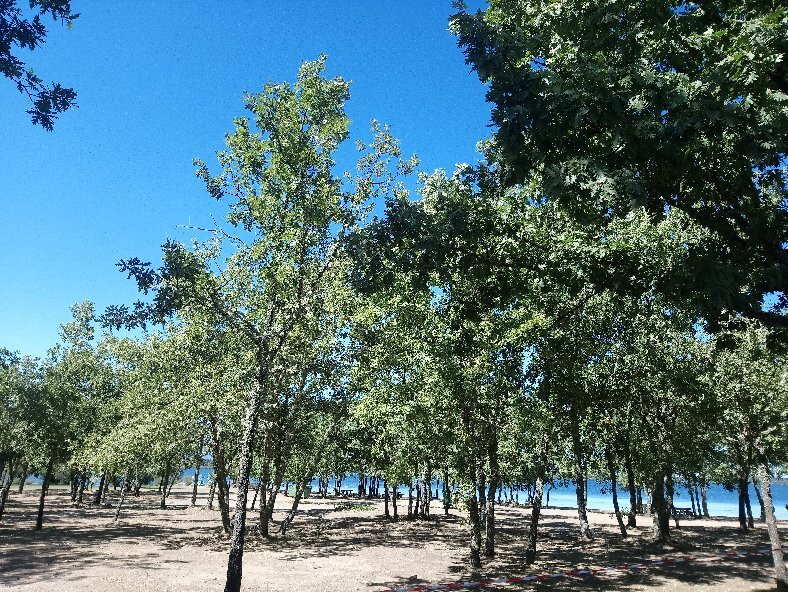 Playa de Los Molinos景点图片