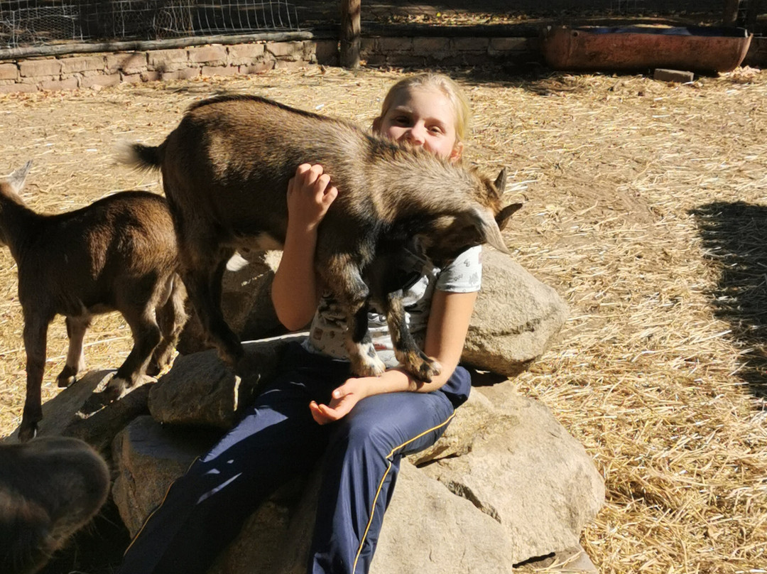 Mangela Animal Touch Farm-参宁必去景点