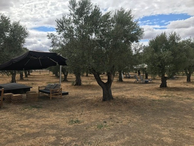 Torre de Palma Wine Hotel主图