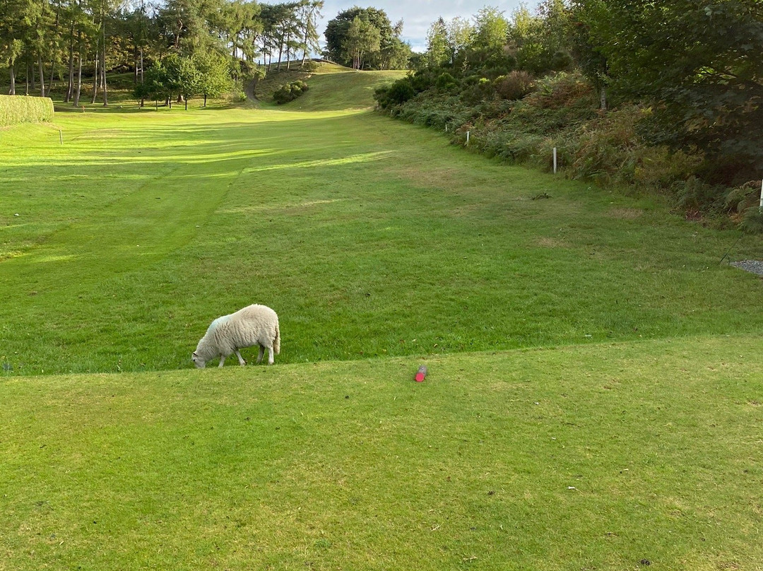 Church Stretton Golf Club景点图片
