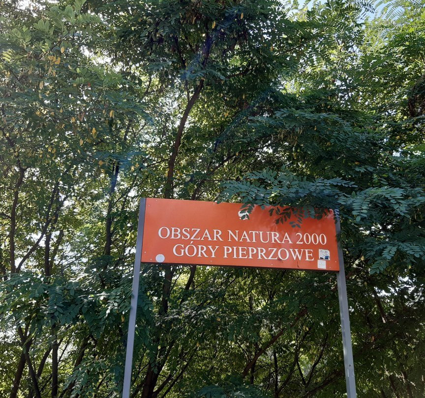 Pepper Mountains Reservation景点图片