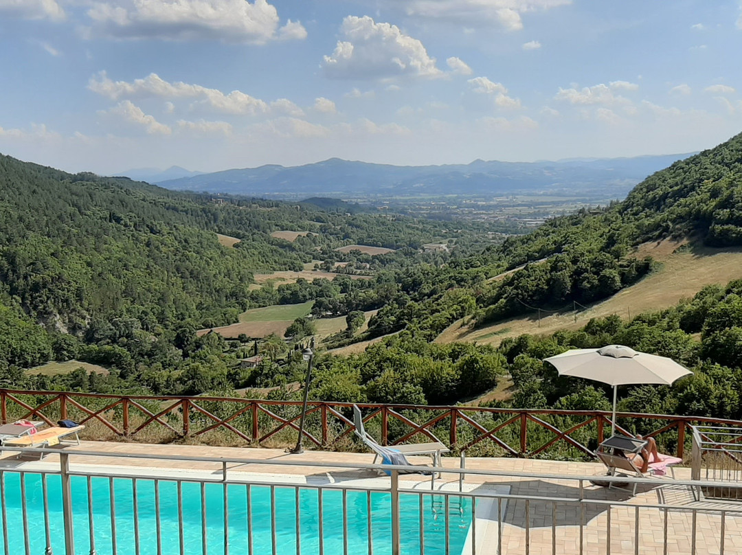 Il Castiglione Agriturismo Bio主图