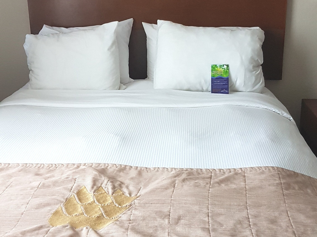 Lakeview Inns & Suites - Brandon主图