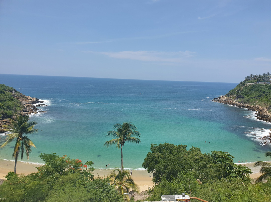 Robert's Ecotours-埃斯孔迪多港必去景点