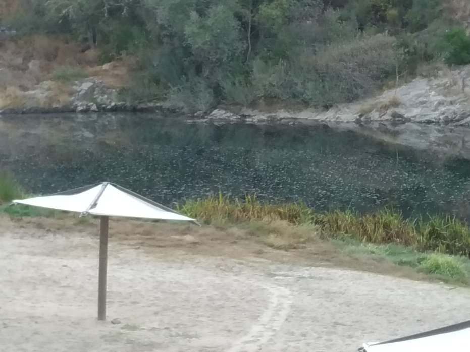 Xisto Camping-官方