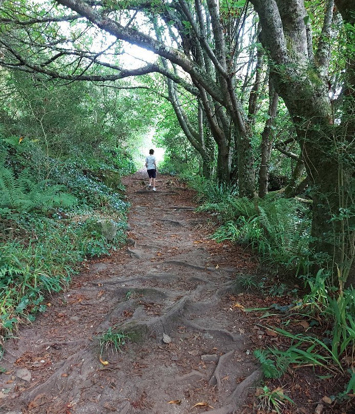 South West Coast Path景点图片