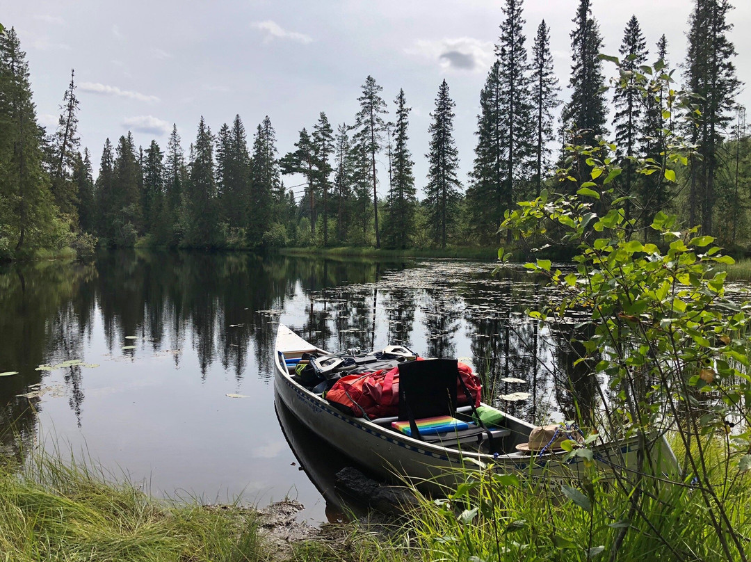 Vildmark i Värmland-Torsby必去景点