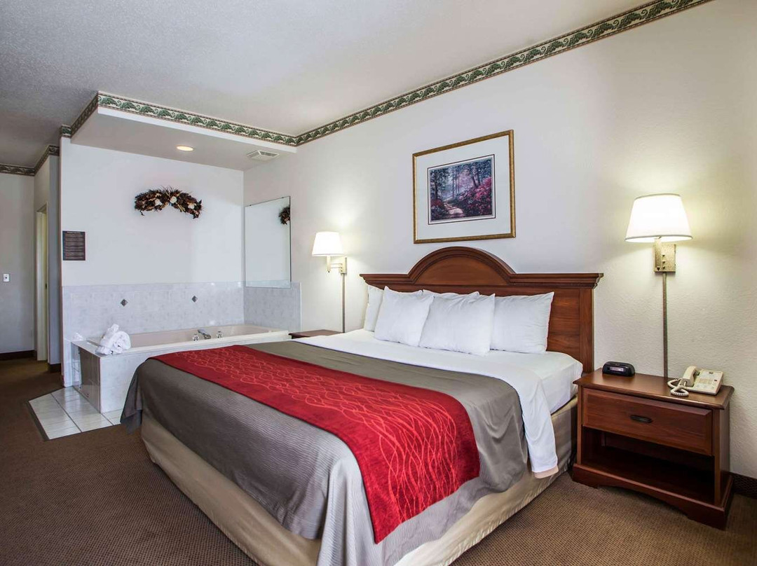 Comfort Inn & Suites Geneva- West Chicago主图