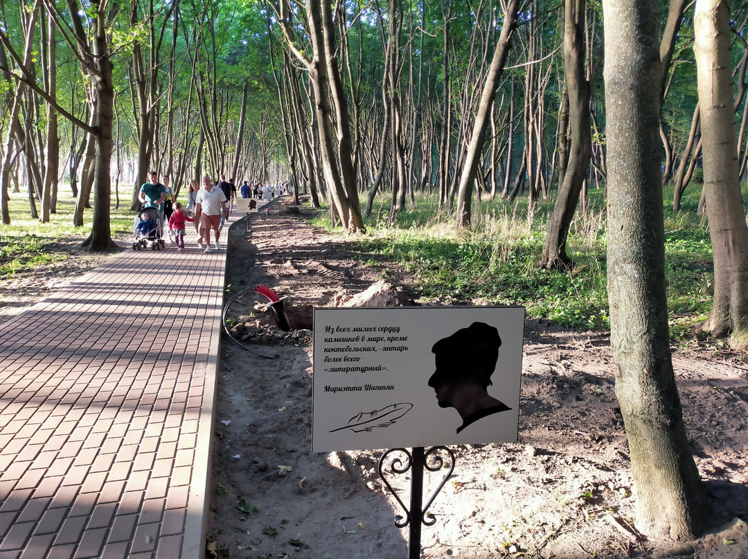 M. Becker Park-Yantarnyy必去景点