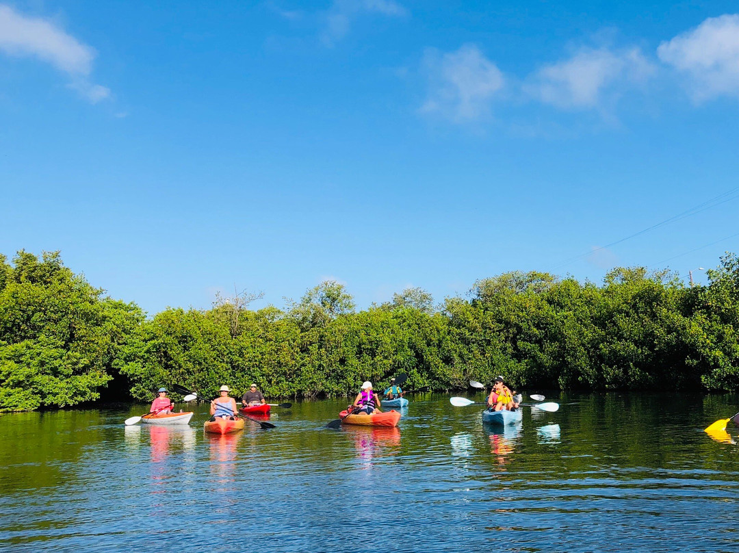 Clam Bayou Nature Park景点图片