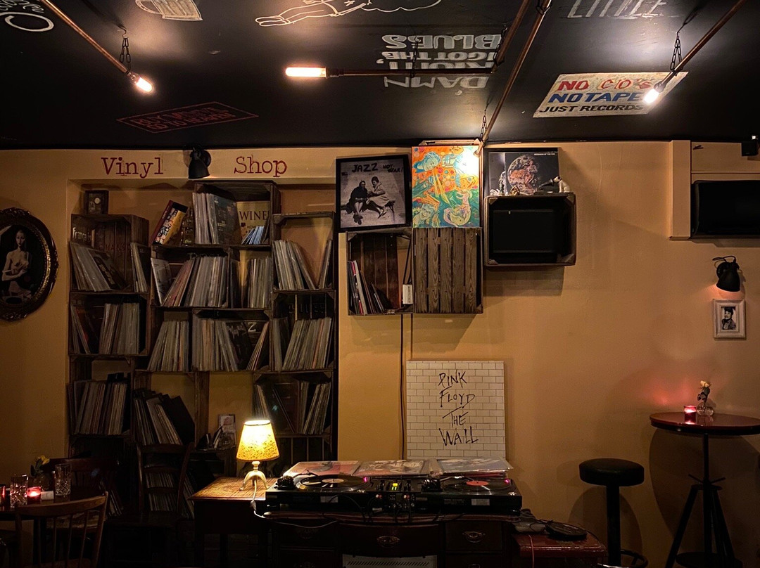 Needle Vinyl Bar-维也纳必去景点