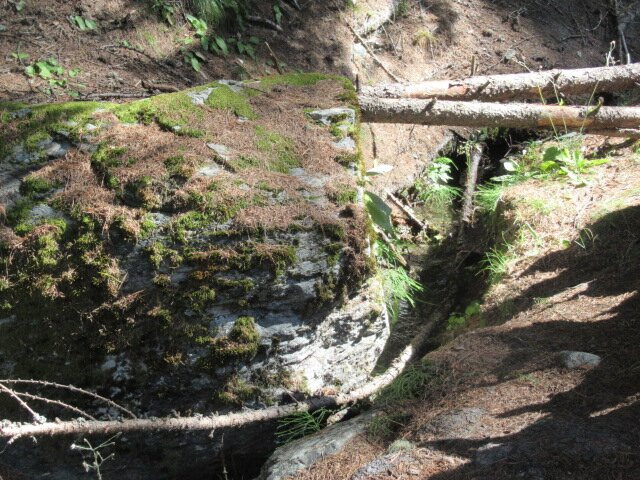 Grand Bisse De St-luc景点图片