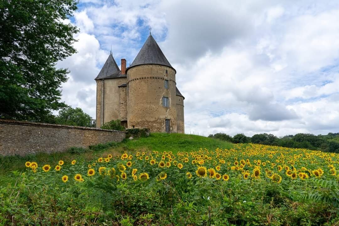 Chateau de Brie-官方