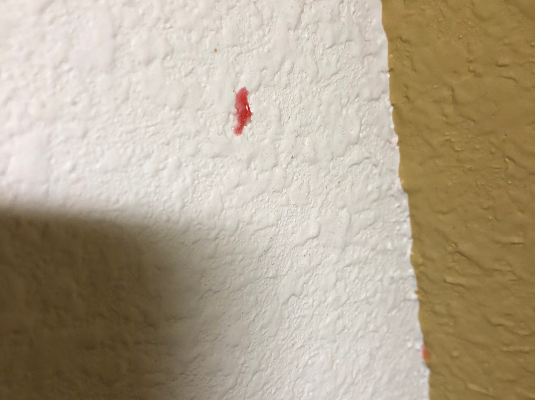 Hyatt Place Uncasville / Casino Area主图