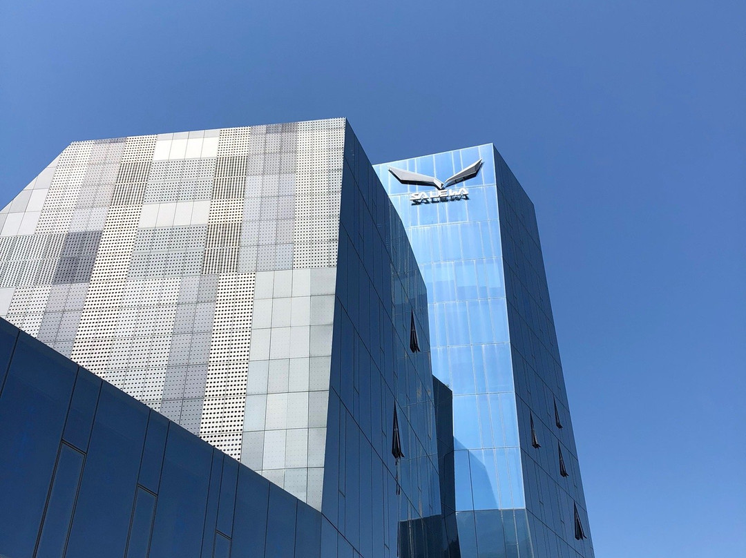 Salewa Cube景点图片
