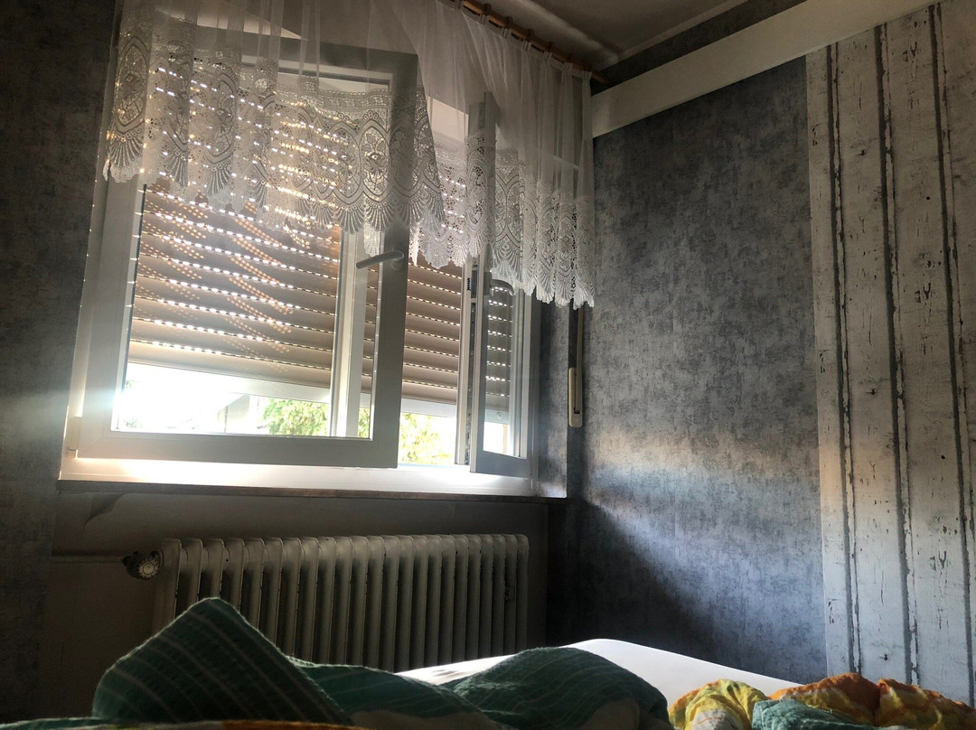 盖斯特豪斯祖尔索奈酒店主图