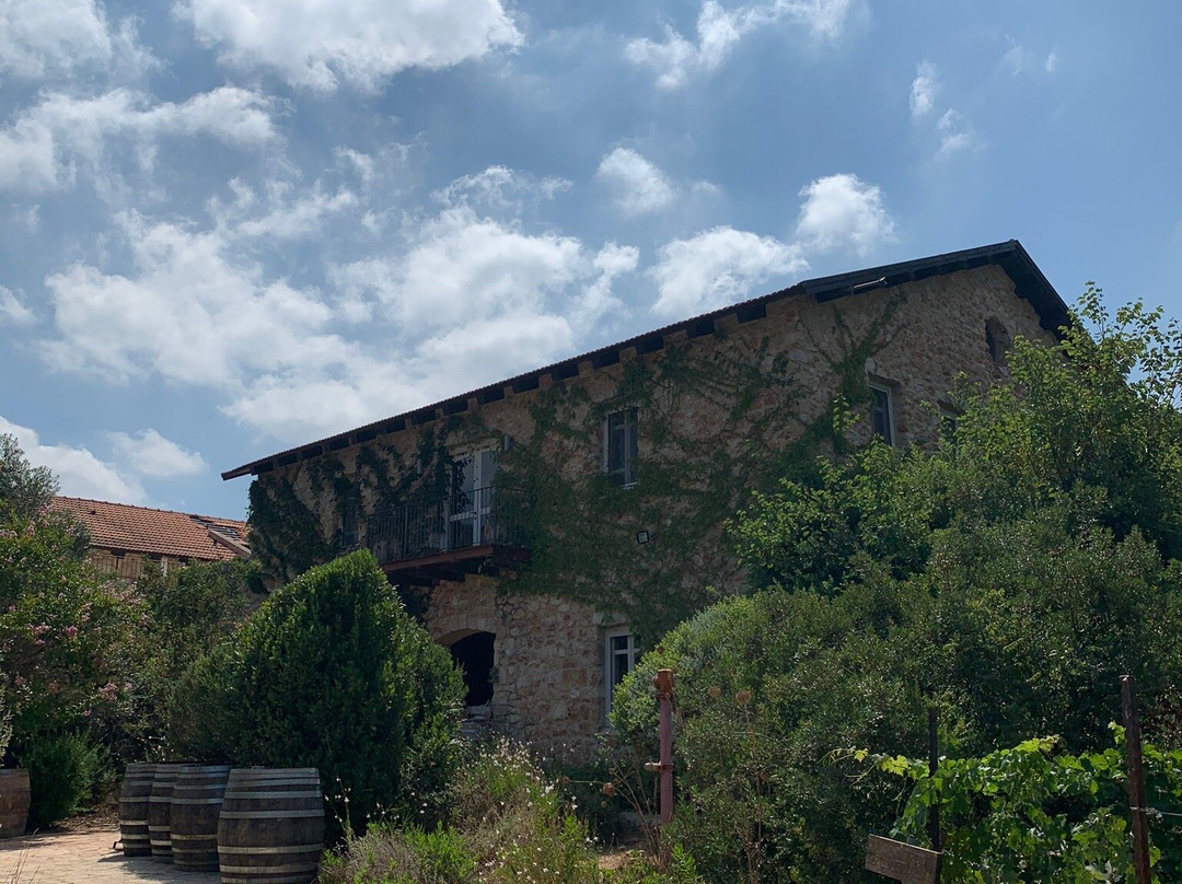 Amphorae Winery-Zichron Yaakov必去景点