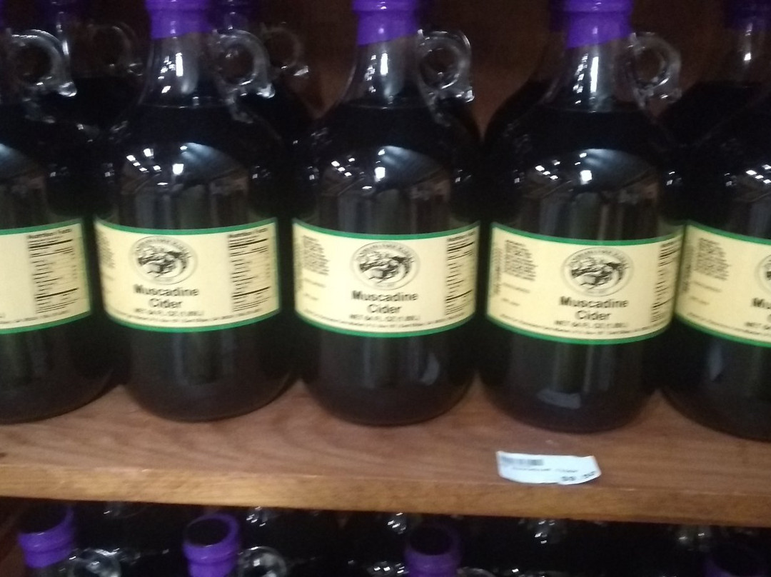 Panorama Orchards & Farm Market-Ellijay必去景点