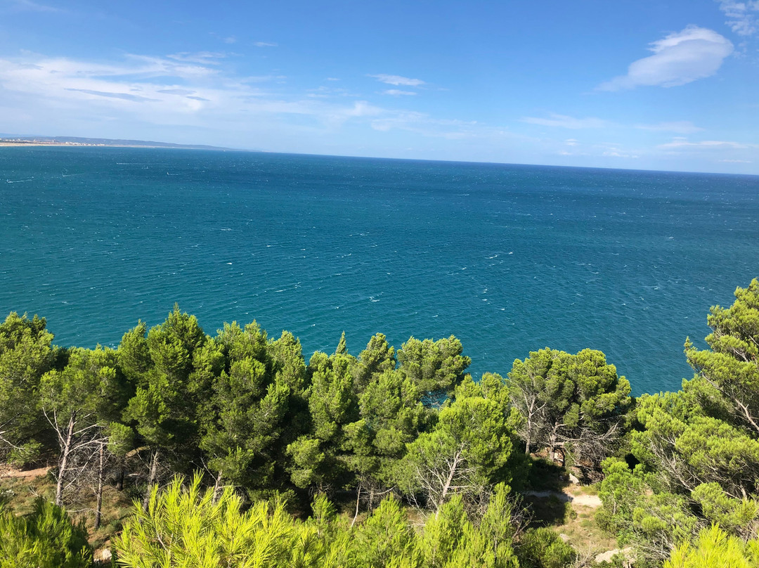 La Franqui Beach景点图片