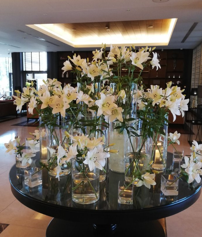 Grand Hotel Tiffi主图