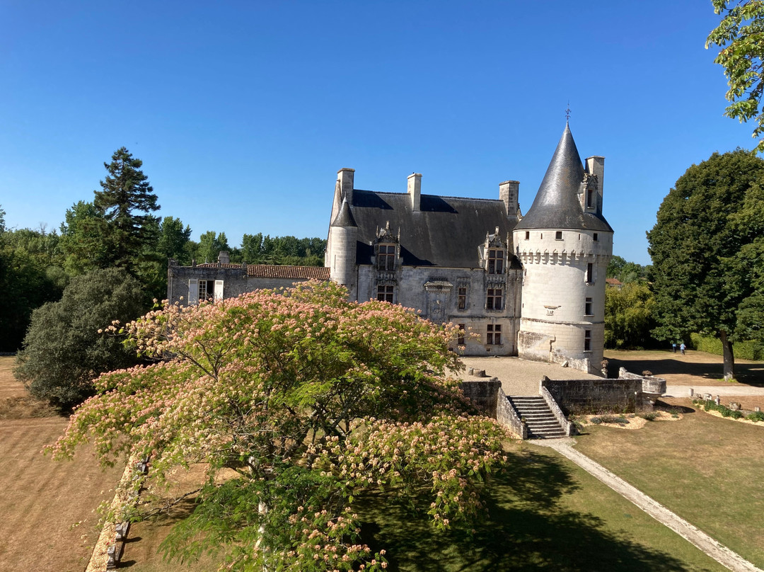 Château De Crazannes景点图片
