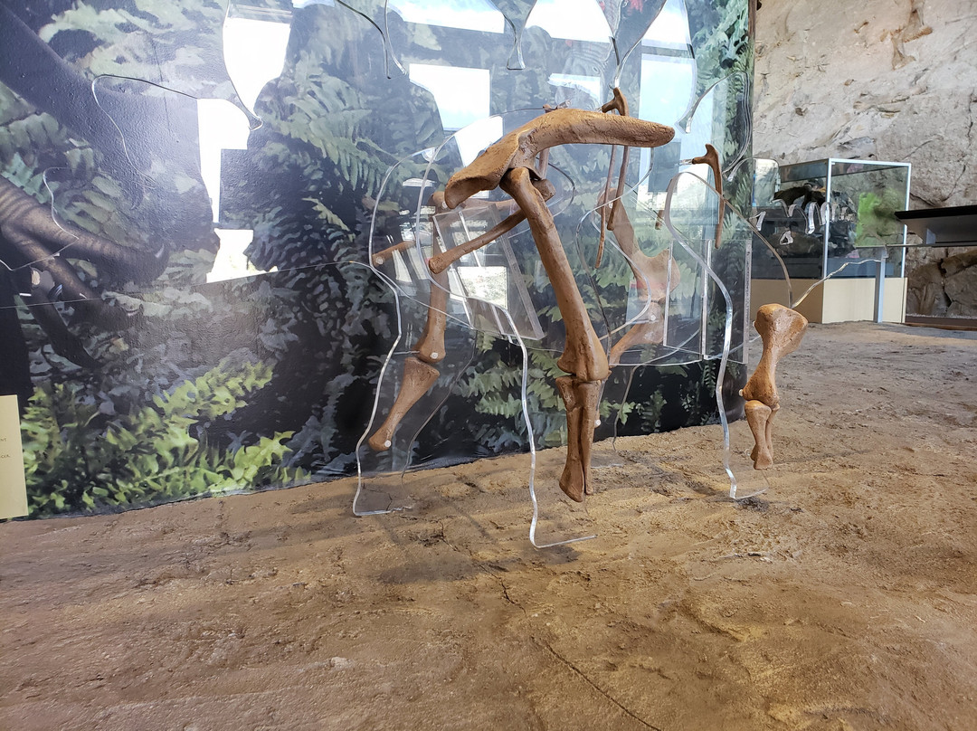 Dinosaur Quarry-Jensen必去景点