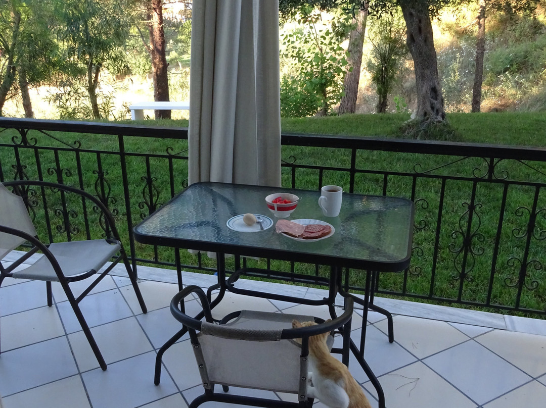 Vitouládes旅游攻略图片