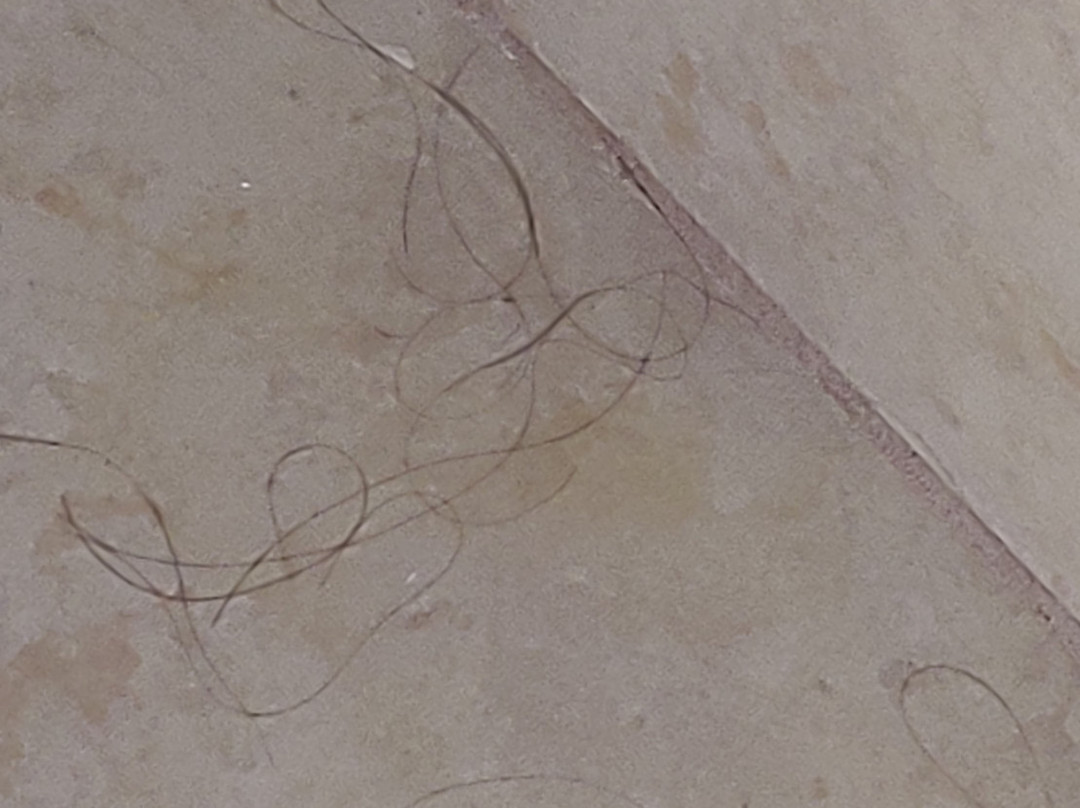 林肯烛木套房酒店主图