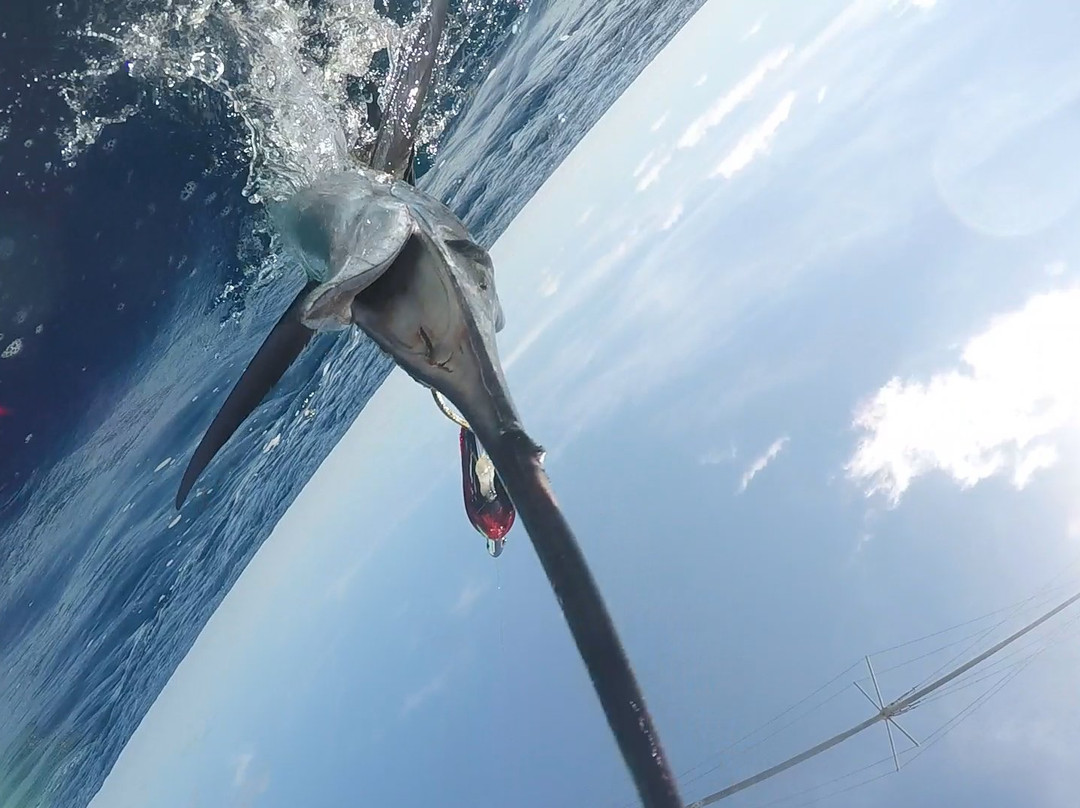 Reelax Fishing Charters-Atlantic Beach必去景点