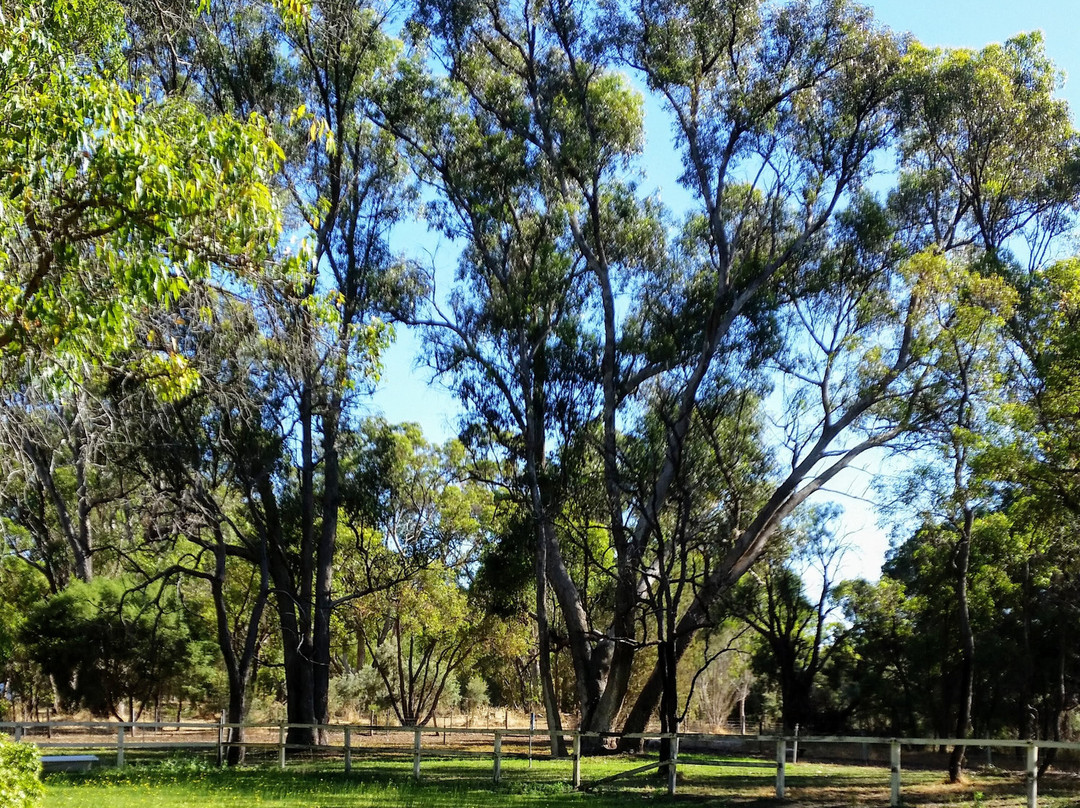 Devonleigh Bed & Breakfast主图