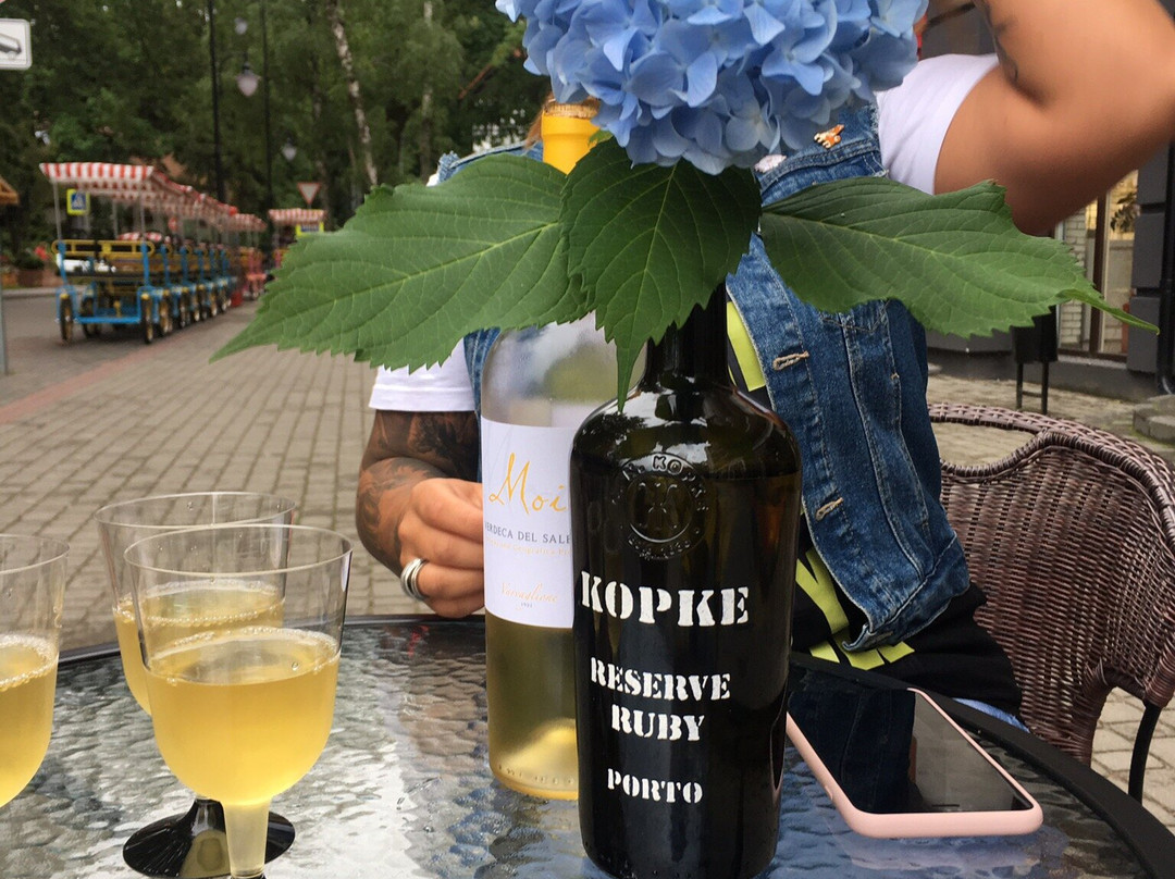 Weitnauer-Philipp-斯韦特洛戈尔斯克必去景点