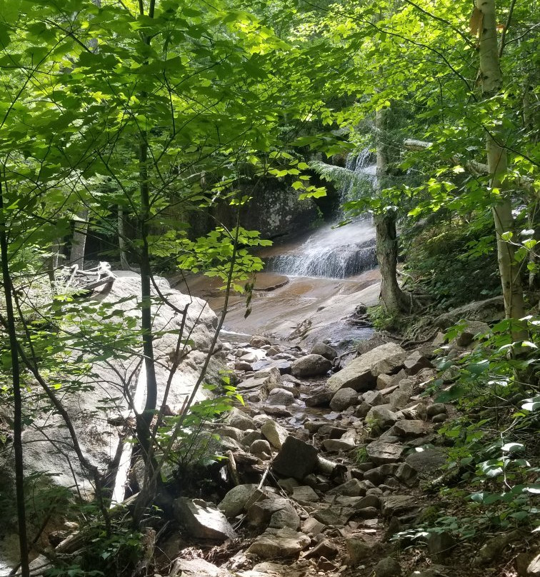 Champney Falls Trail景点图片