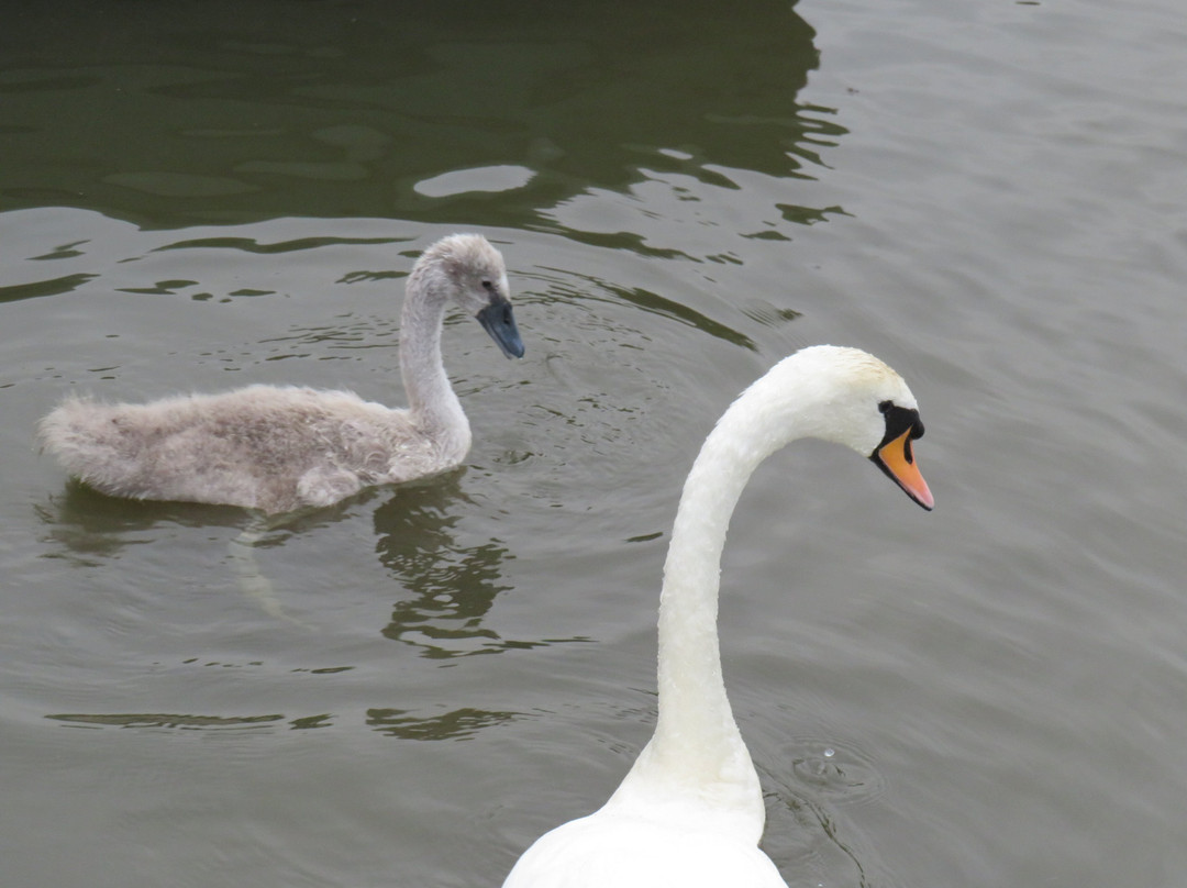 Earlswood Common景点图片