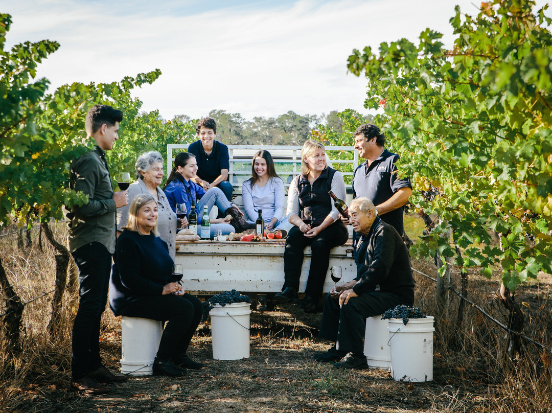 Coonawarra旅游攻略图片