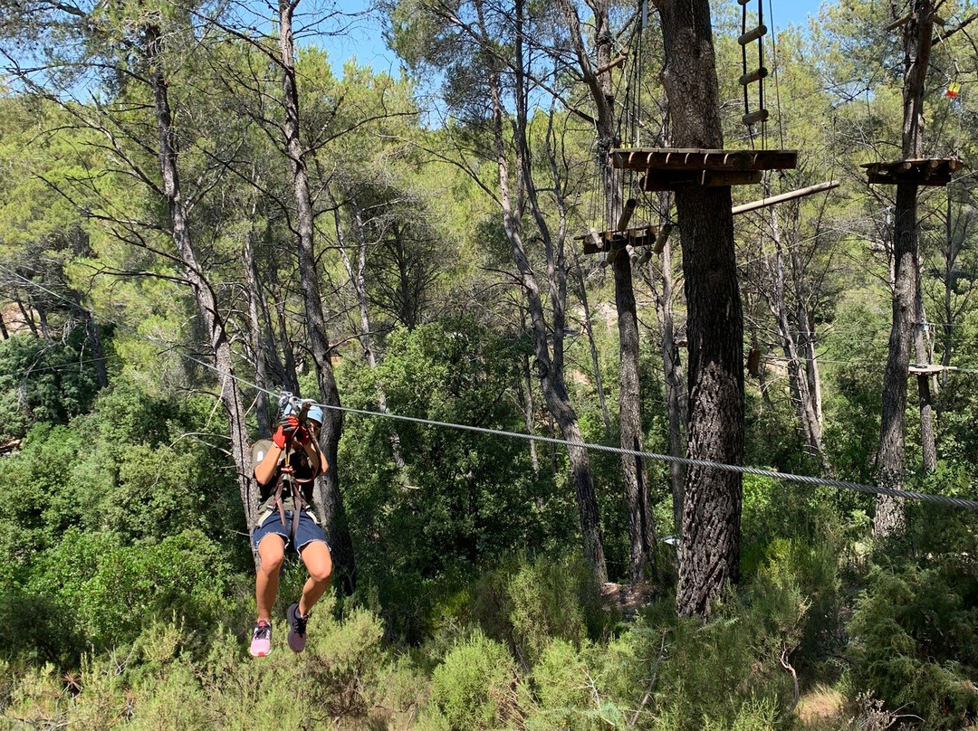 Le Royaume des Arbres-Le Castellet必去景点
