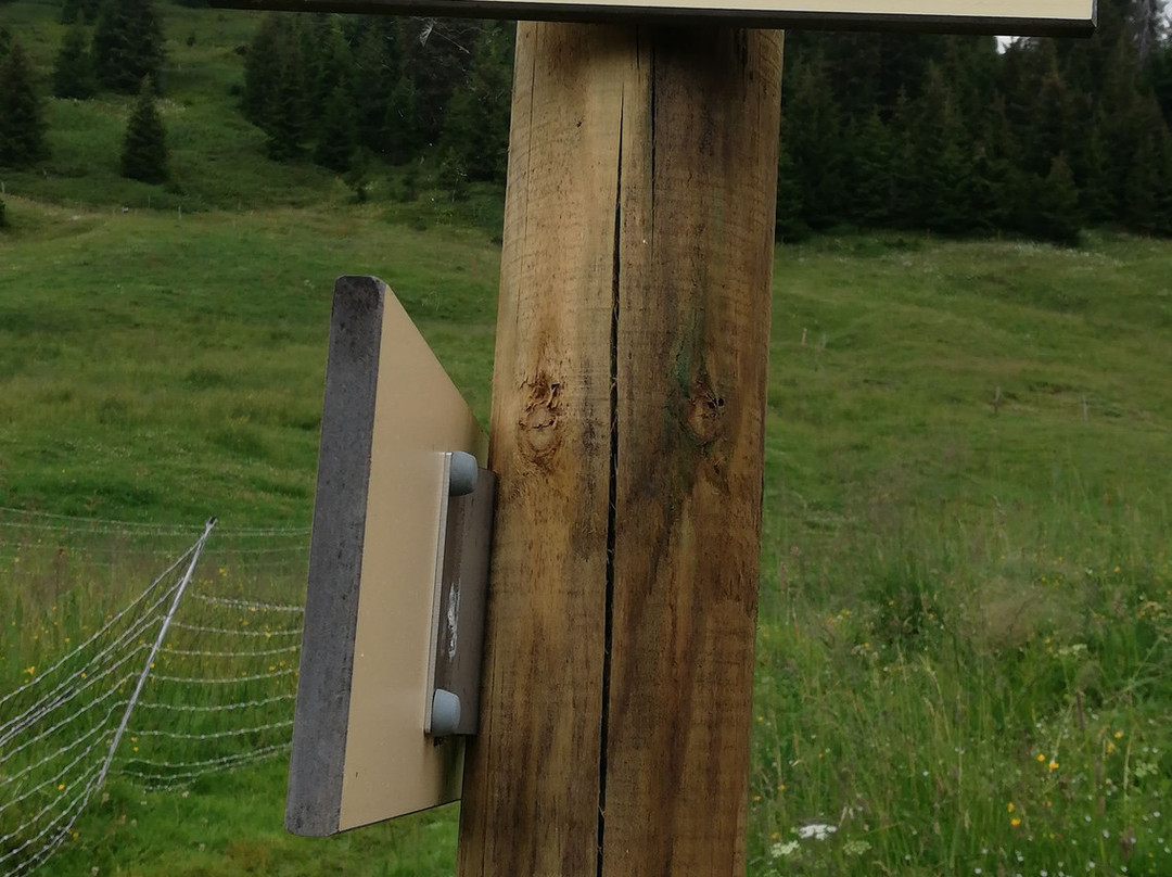 Haute Savoie Quad Megeve-Praz Sur Arly必去景点