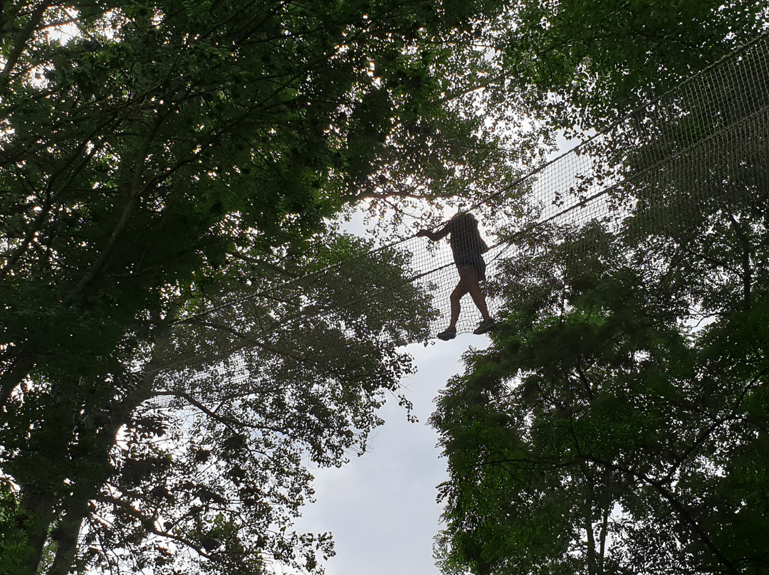 Saint Gal Parc Aventure-Langeac必去景点