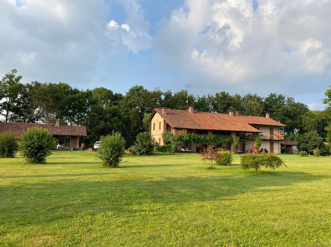 Seguendo l'Oca主图