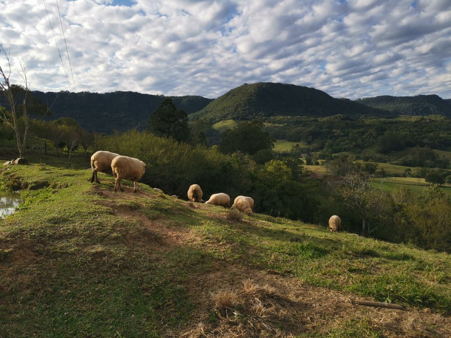 Morro Do Calvário-Sao Joao do Polesine必去景点
