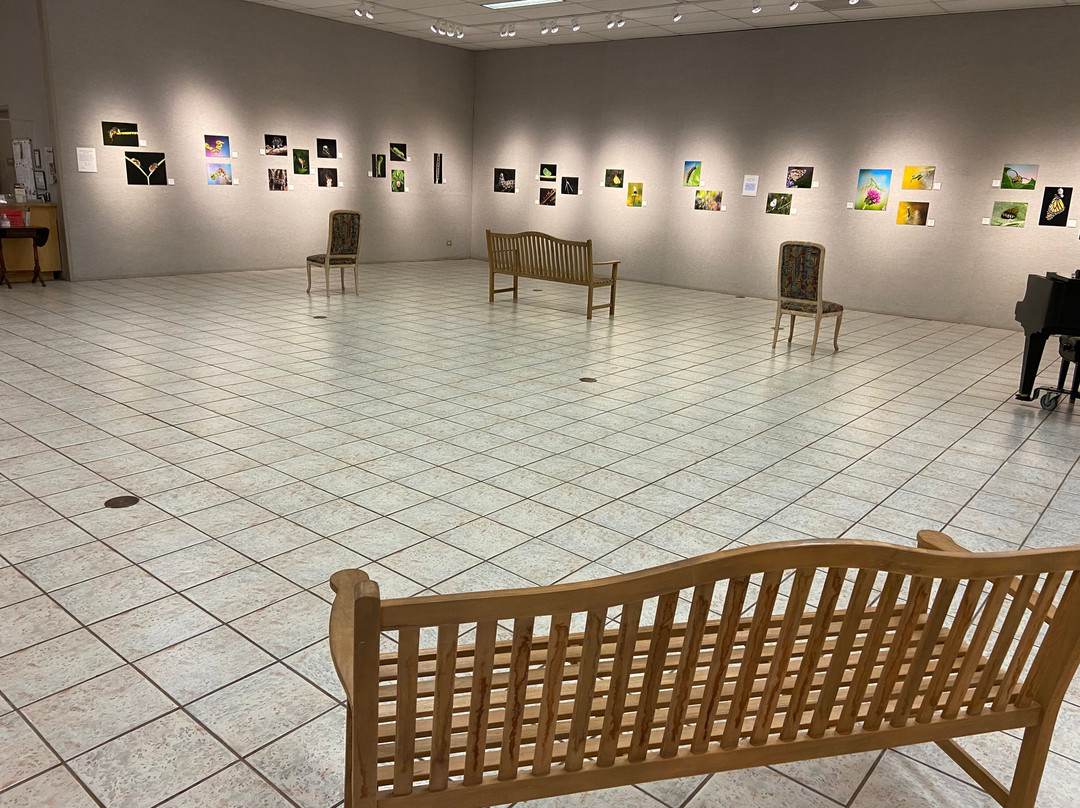 Brazosport Museum of Natural Science-Clute必去景点