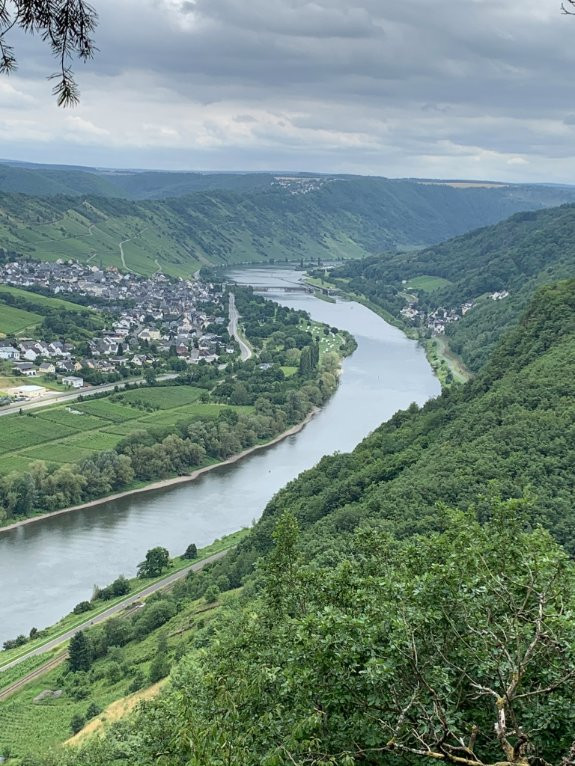 Boutique Hotel Villa Melsheimer主图