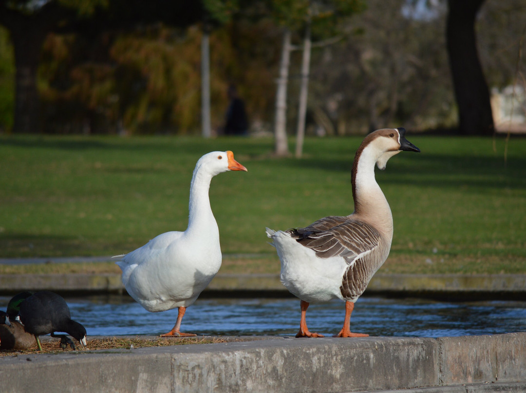 Don Knabe Community Regional Park-喜瑞都必去景点
