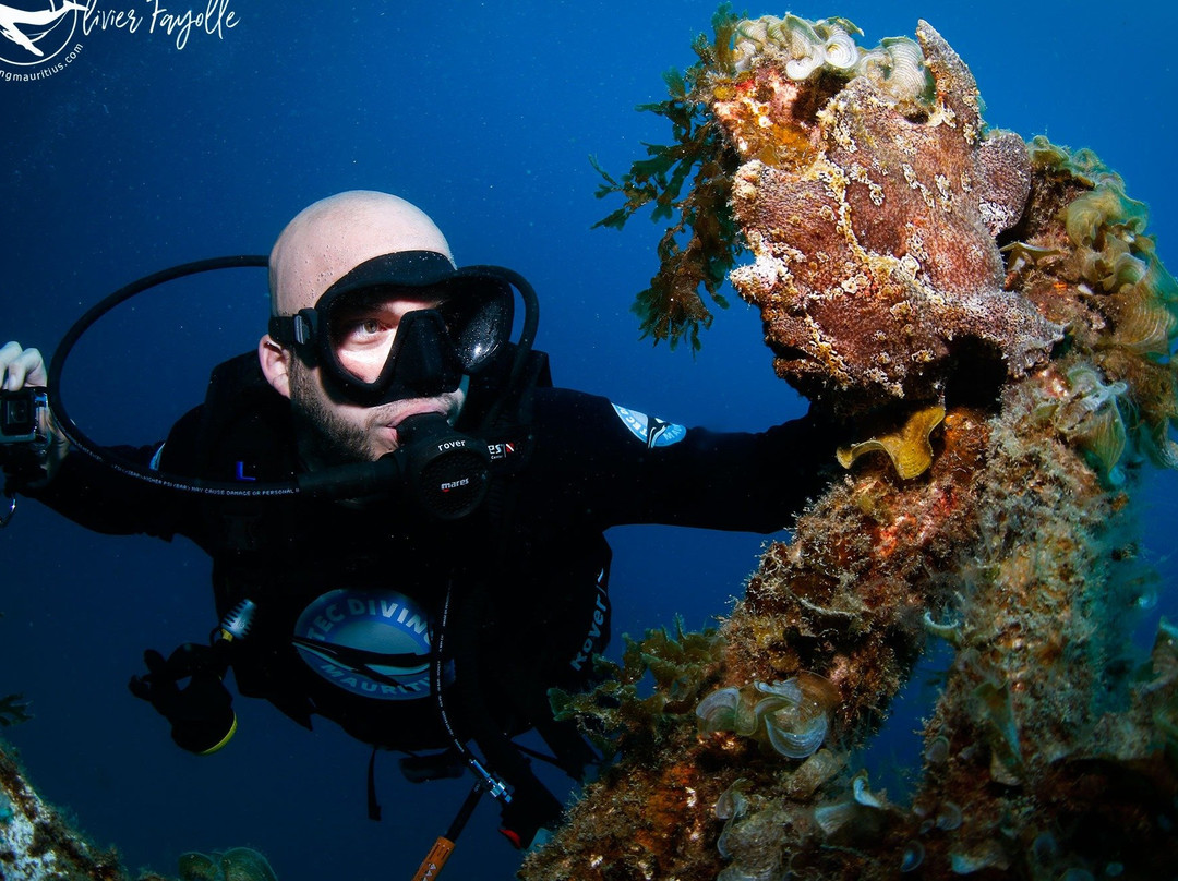 Tec Diving in Mauritius景点图片