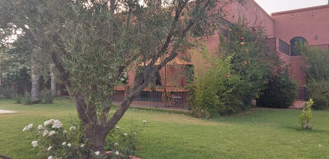 Le Diamant de Zaraba主图