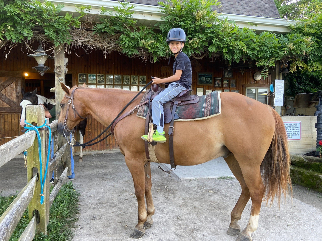 Amish Country Riding Stables-Millersburg必去景点